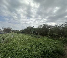桃園綠線捷運G14A徵收田 示意圖-4